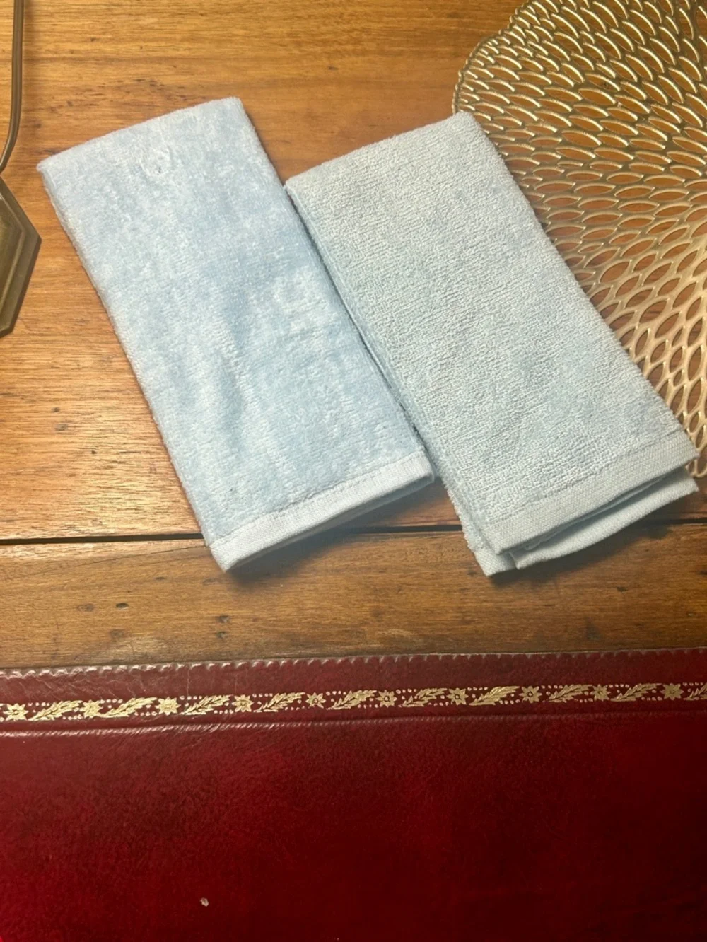 Plush Terry Finger Tip Hand Towel Lady Bug Little Things Daffodil Set of 2